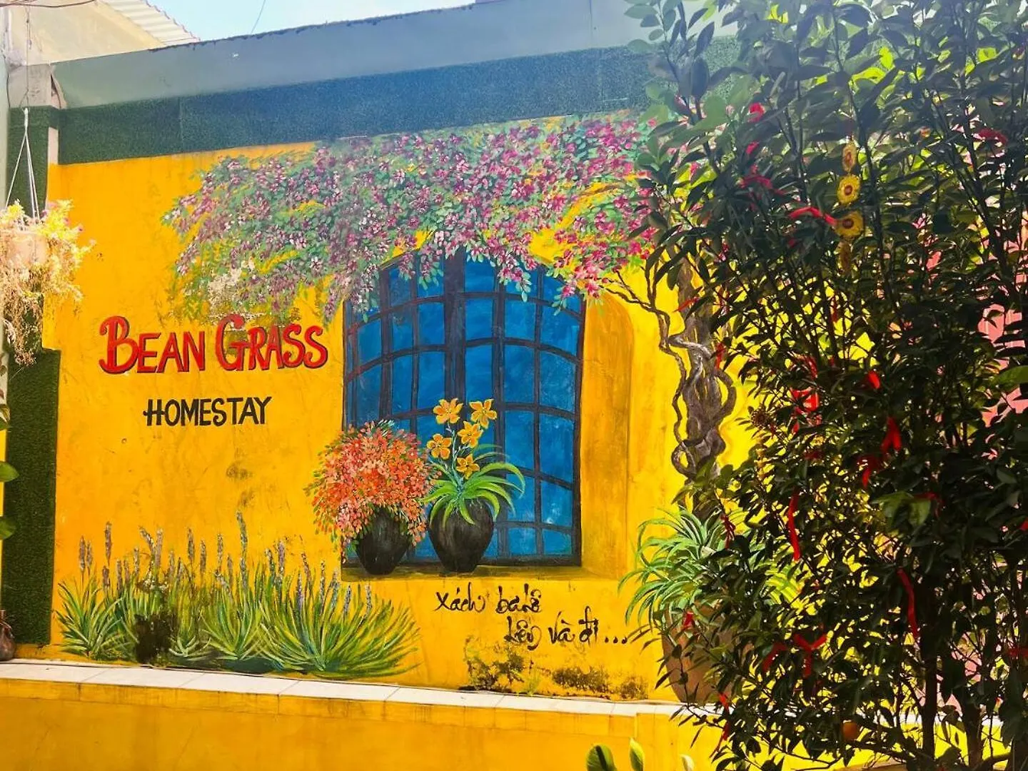 Bean Grass Homestay Hội An