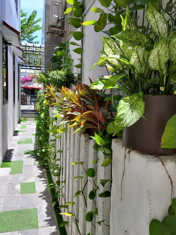 Bean Grass Homestay Hoi An