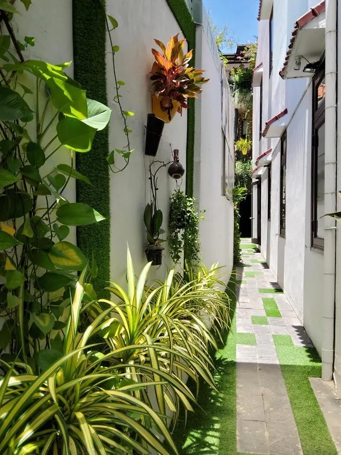 Bean Grass Homestay Hoi An